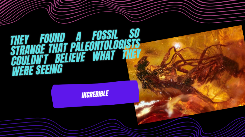 They Found a Fossil So Strange That Paleontologists Couldn’t Believe What They Were Seeing